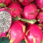 te de pitahaya, mate de pitahaya