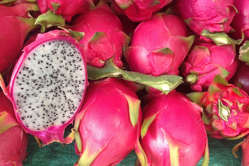 te de pitahaya, mate de pitahaya